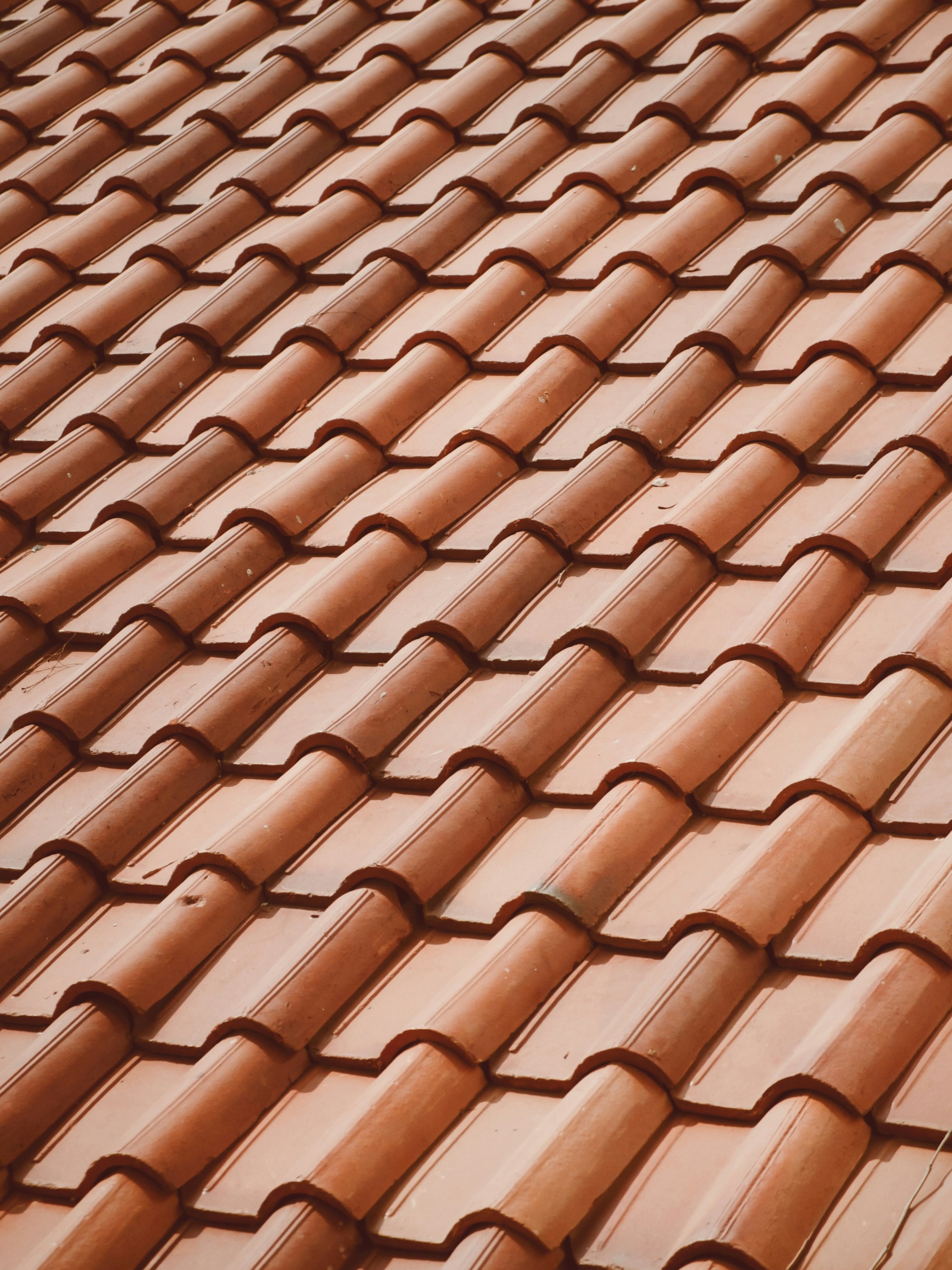 Close-up reference photograph of red clay roof tiles.