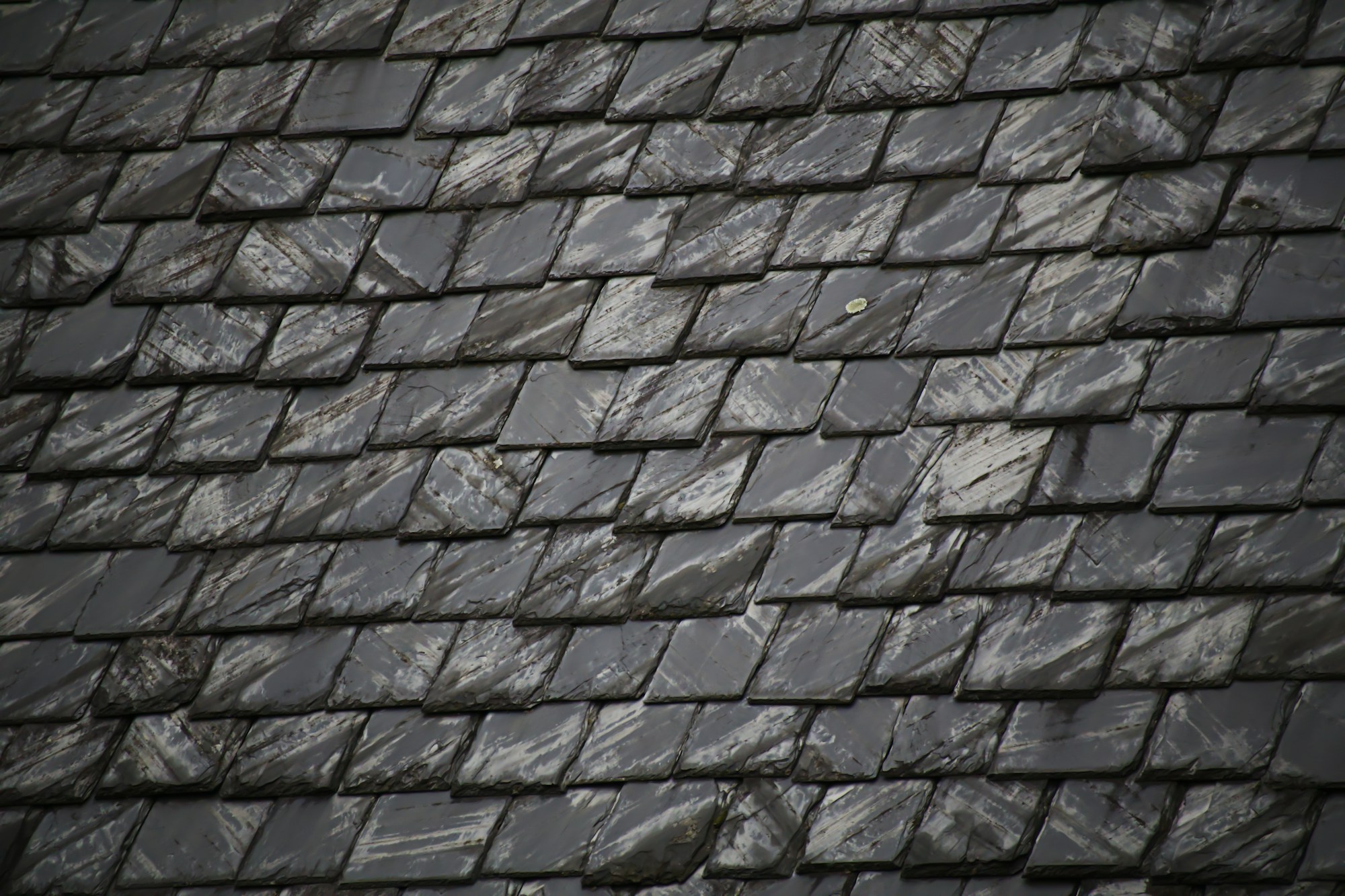 Close-up reference photograph of natural slate roof tiles.